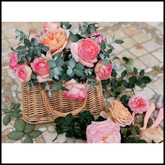 Natural Wicker Handbag Rectangular Basket Purse Straw Tote Boho Chic - Picture 5 of 5